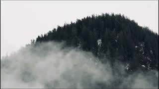Midnight Son Ed Washington - Running