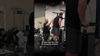 Dips Principles of Loaded Movement dips strengthtraining musclebuilding loadedmo