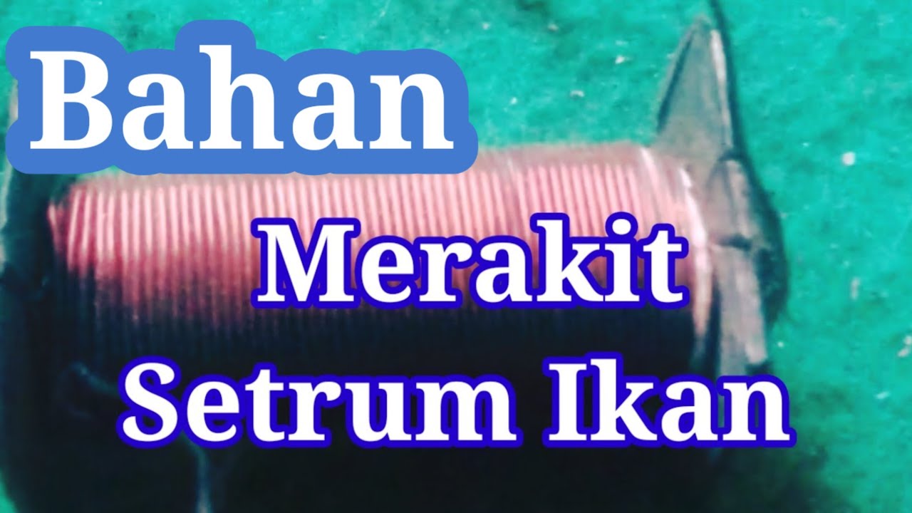 Gulung Spul Setrum Ikan Nila Super Dahsyat//Stun Fish - Youtube