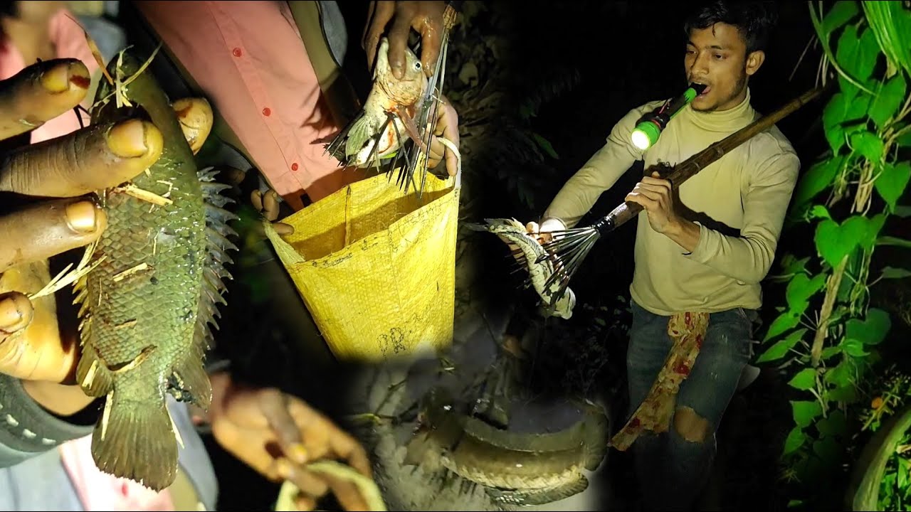 Bangladesh's Fishing Secrets:Traditional Methods Unveiled/ভোলা দ্বীপের খালে কোচ দিয়ে রাতে মাছ শিকার
