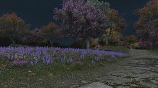 A Brother's Duty: Accept the Quest – Main Scenario Quest | Final Fantasy XIV PS5