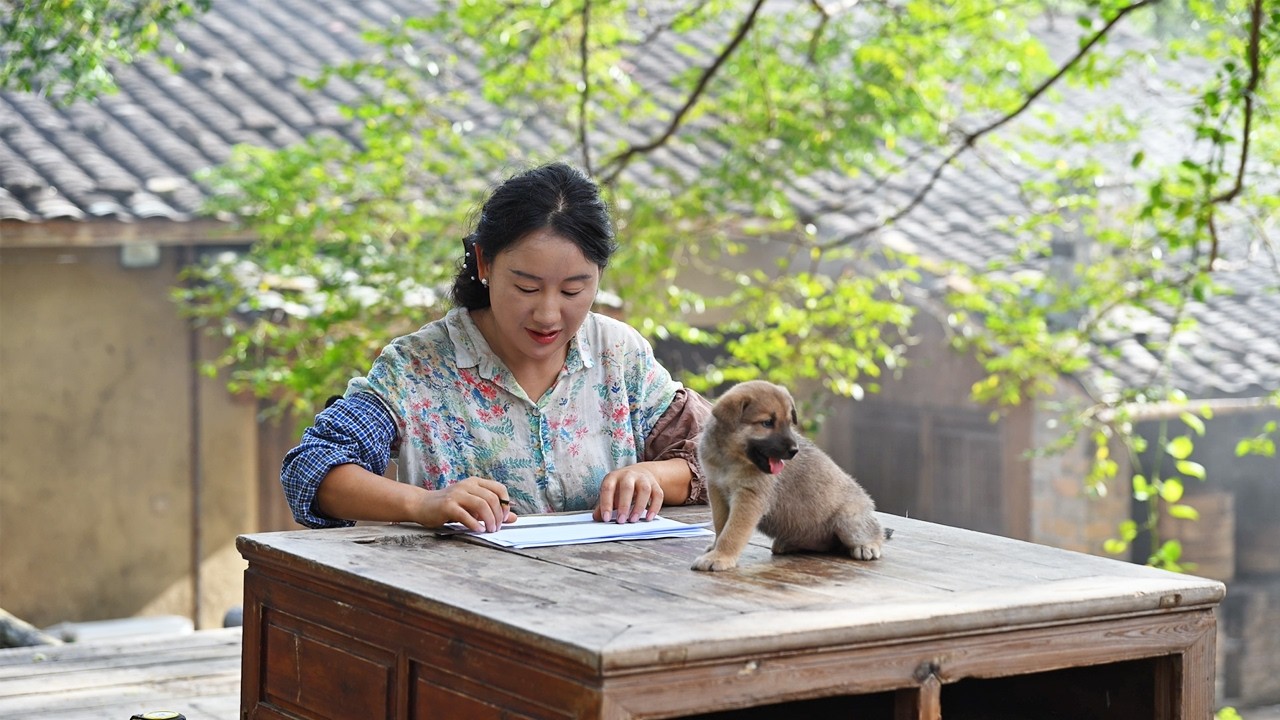 The 'Deluxe' Doghouse“豪華”狗舍 | 大黃新生七隻小奶狗，為它們蓋了個遮風擋雨的雙層豪宅【鄉愁沈丹ShenDan】