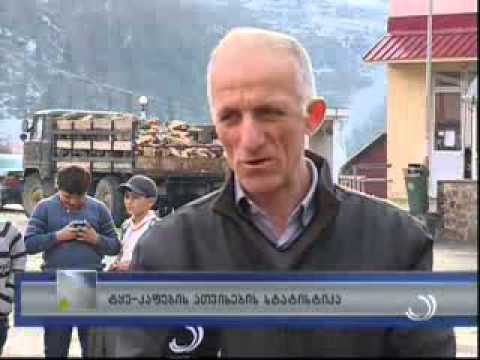 ტყე-კაფების ათვისების სტატისტიკა