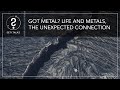 SETI Talks: Got Metal? Life and Metals, the unexpected connection