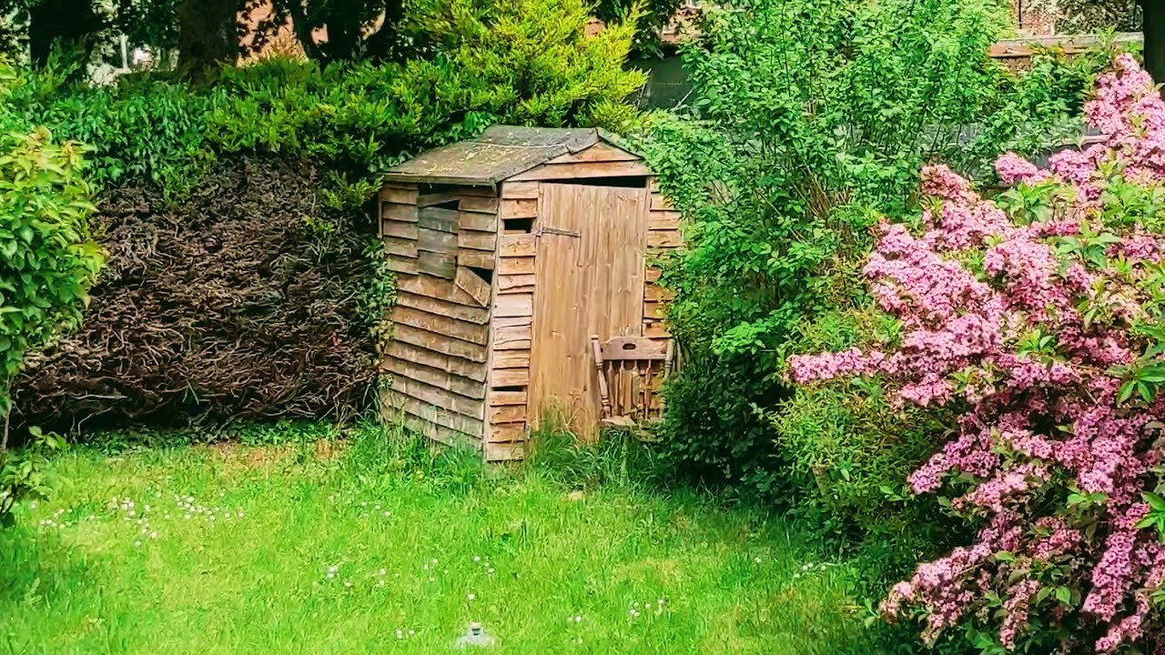 Our Backyard UK, Weigela Pink Poppet. ഞങ്ങളുടെ പൂന്തോട്ടം UK.