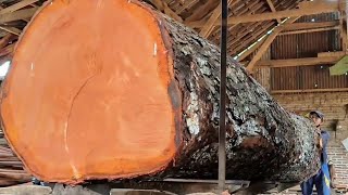 Huge! The Appearance of a Giant Log That Will Make You Gawk - Sawmill