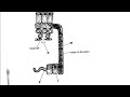 2022 GCE Biology paper 2_ Transport in plants