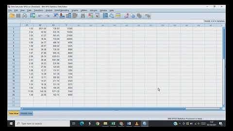 TUGAS BESAR 1 STATISTIK BISNIS || INPUT DATA SEKUNDER KE MICROSOFT EXCEL DAN PROGRAM SPSS