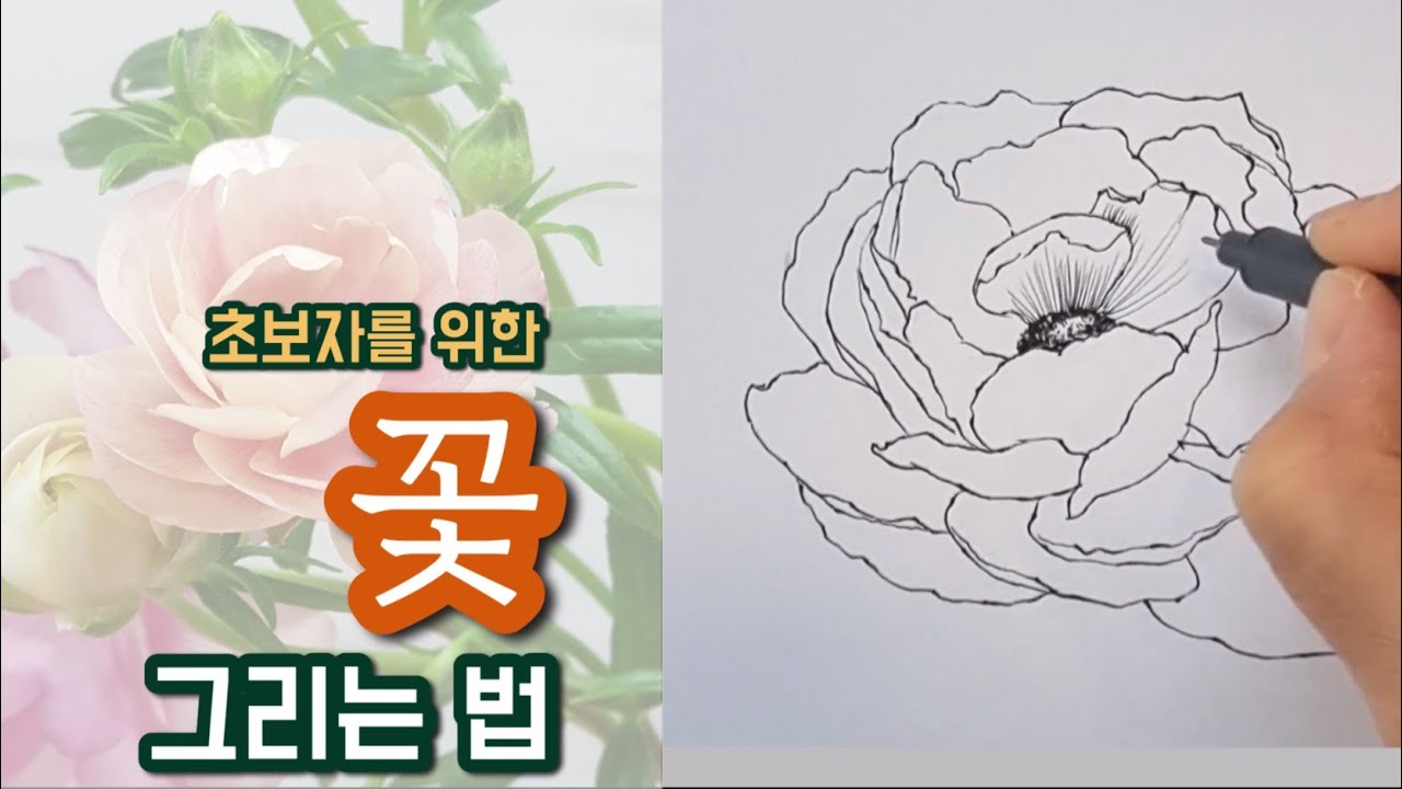 초보자를 위한 꽃그리기[그림 독학/기초 드로잉/그림 잘 그리는법/꽃그리기-1]