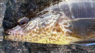 Buscando um ponto de pesca Playa del Ingles