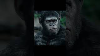 Dawn of the Planet of the Apes edit