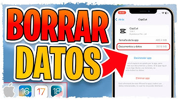 Como Borrar la Información de una App en iPhone ✅