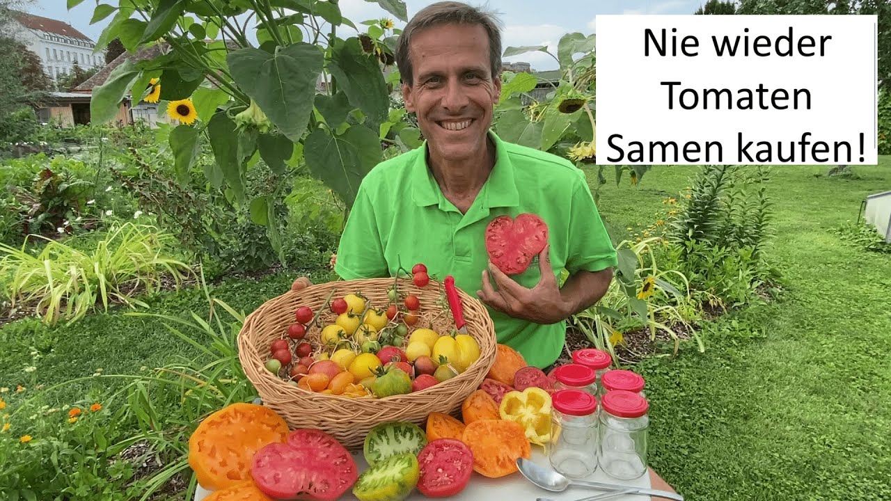 Meine eigenen TOMATEN-SAMEN 🍅Schritt für Schritt Anleitung zur Saatgutgewinnung