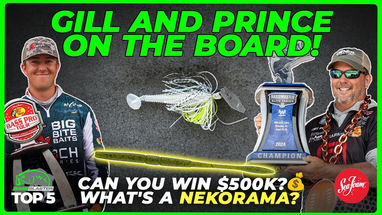 Two new winners, JackHammer's the best, New Neko bait – Top 5 in Bass Fishing Ep 88!