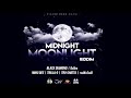 Midnight Moonlight Riddim Mix (Dancehall) thaWizZarD,Tru Shatta,Trilla G &amp; More by djeasy