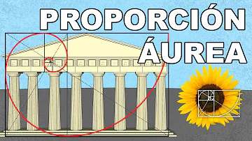 ¿Qué varón tiene la Proporción Áurea?