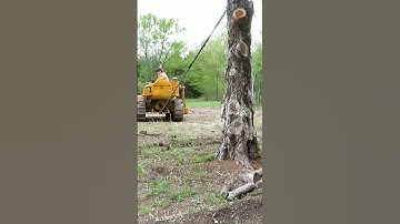 1941Cat D2 vs. The Tree #shorts #caterpillar