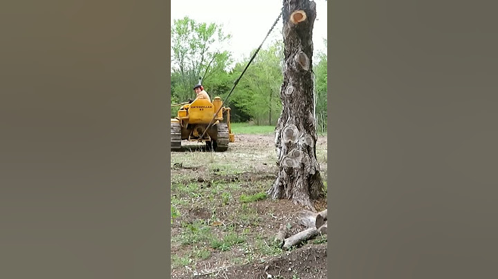 1941Cat D2 vs. The Tree #shorts #caterpillar