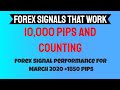 Trading Dapat Sekali Forex Pips 300