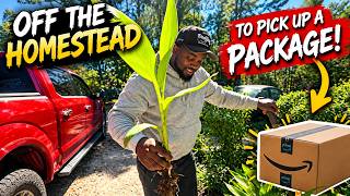 OFF THE HOMESTEAD FOR A QUICK PACKAGE PICKUP!