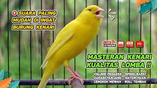 Download Lagu Kenari GACOR NGEREK‼️ Masteran Kenari PAUD dan Pancingan Kenari MACET BUNYI dan Betina NGIWIR - 56 MP3 Download Lagu Kenari GACOR NGEREK‼️ Masteran Kenari PAUD dan Pancingan Kenari MACET BUNYI dan Betina NGIWIR - 56 MP3