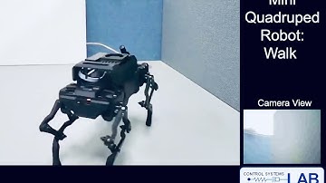 Mini Quadruped Robot: Walk