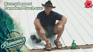 Download Lagu Pfusch ausbessern und ein BLAUES Wunder! 🎨 Heimwerken bei den Reimanns | Willkommen bei den Reimanns MP3