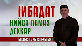 НИЙСА ЛАМАЗ ДЕХКАР | ШЕЙХ ХЬАСАН БАСНУКАЕВ