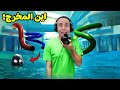 مسبح الغرف الخلفية غموض و رعب POOLS مسبح الغرف الخلفية غموض و رعب POOLS