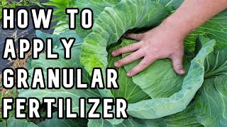 Applying Granular Fertilizer for a Vegetable Garden