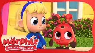 Car Wash | Morphle and the Magic Pets | Available on Disney+ and @disneyjunior | BRAND NEW