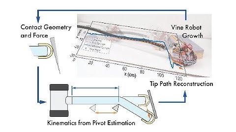 Vine Robot Localization Via Collision