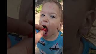 eating is no joke 🤣 #twinlife #dadlife #family