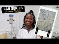 Lab Series Is Back!!! Shampoo Basics, What To Know About Making A Good Shampoo | Prolific Gabrielle