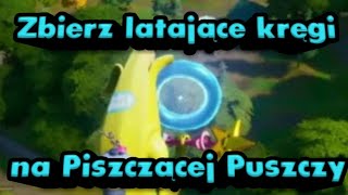 Zbierz latające kręgi na Piszczącej Puszczy