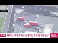 神奈川・平塚市の海水浴場 男子高校生とみられる1人が行方不明(2026年7月12日)