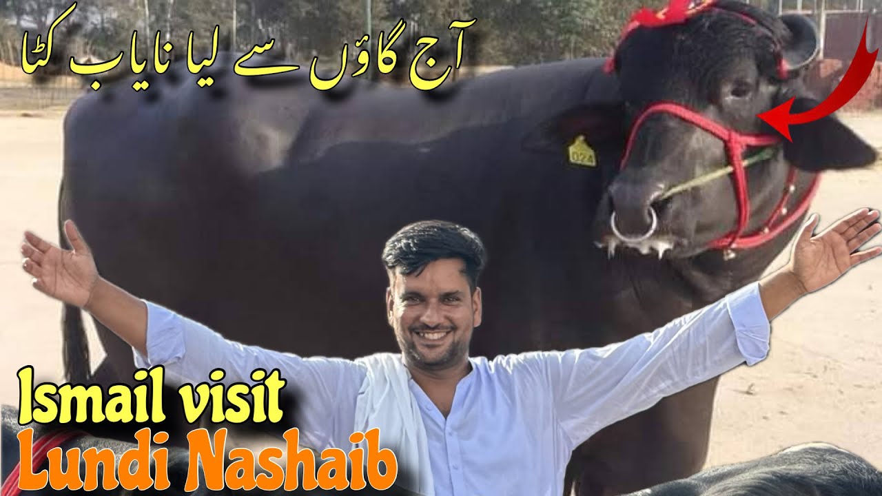 Ismail  jutt visit Lundi Nashaib