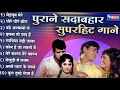 Hindi Gana🥀Sadabahar Song 💓हिंदी गाने ❣️Purane Gane Mp3 💕Filmi Gaane अल्का याग्निक कुमार सानू गीत