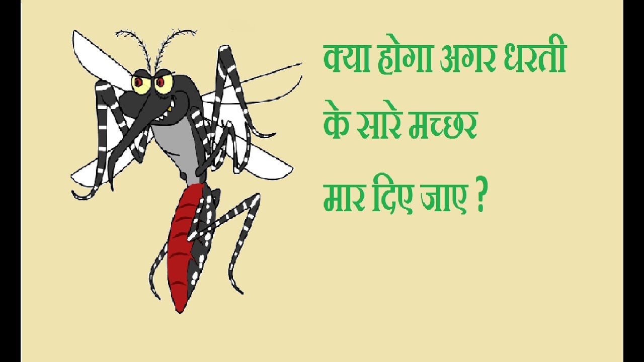 क्या होगा अगर धरती के सारे मच्छर मार दिए जाए ? What will happen when