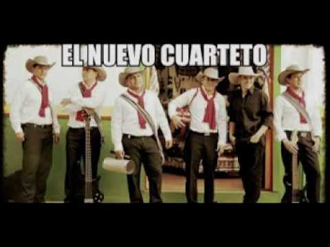 El Nuevo Cuarteto Entrevista Dpto Del Huila