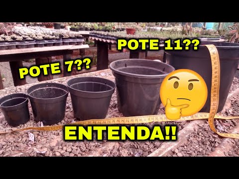 Vídeo: Qual é o tamanho de um pote número 2?