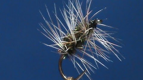 Beginner Fly Tying a Griffiths Gnat with Jim Misiura