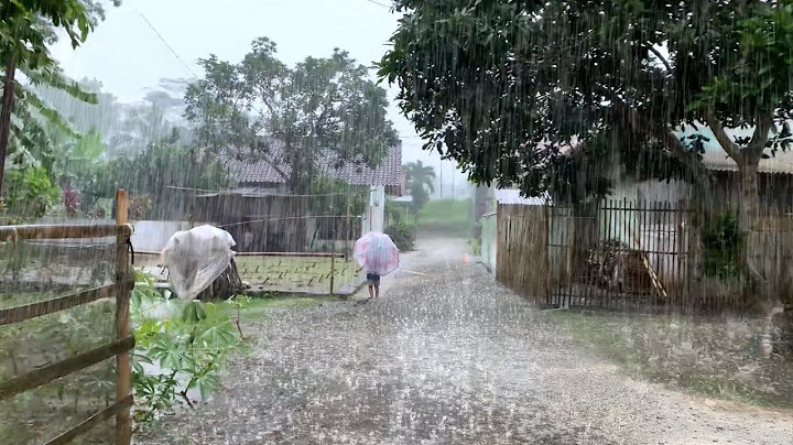 Thunderstorm in the Countryside | Walking in Heavy Rain with 99% Relaxing Nature Ambience