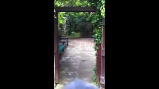 UK Spiritual Tour:  Chalice Well at Glastonbury