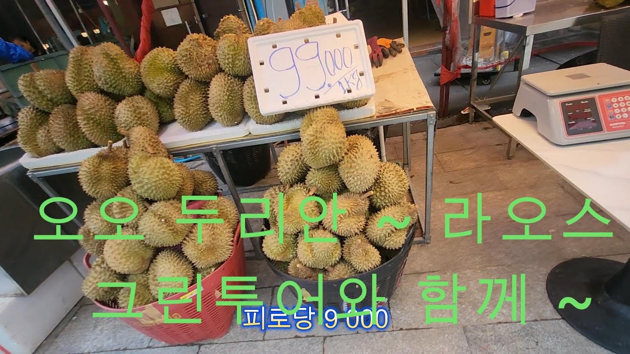 라오스 비엔티안 전문가이드와 함께 거리투어를 이곳은 여행자거리 라오스그린투어 입니다 - 유튜버 화산촉