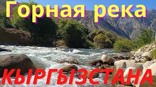 Горная река Кыргызстана. Чистейшая вода Иссык-Куля. река впадает в озеро Иссык-Куль