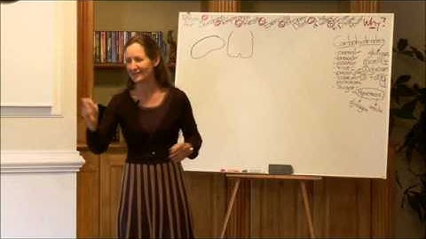 The Brain - Barbara O