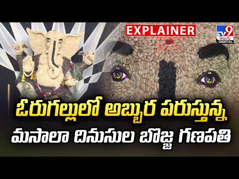 Explainer : ఓరుగల్లులో అబ్బుర పరుస్తున్నమసాలా దినుసుల బొజ్జ గణపతి - TV9 - TV9