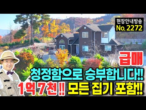 (급매) 청정함으로 승부합니다 사정상 집기 포함 전원주택 매매 시골집 해발 390미터 시원한 전망 44평의 연면적 2층 관리 편한 마당과 주차장 가성비 단양부동산 - 발품부동산TV