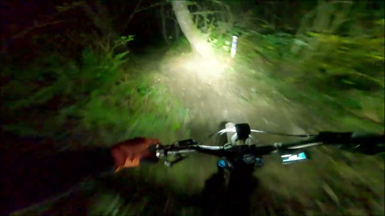 Taking a night lap down Ferdinand the Bull